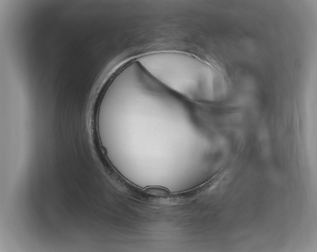 X0000113050103200908271103