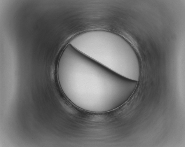 X0000113050107200908271103