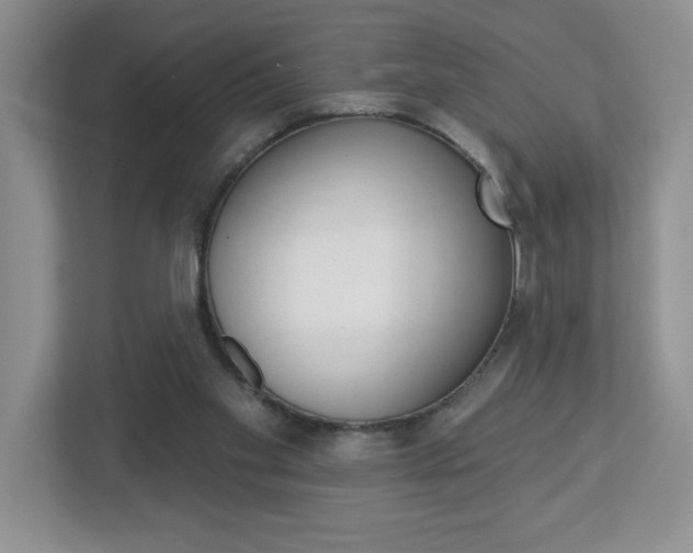 X0000113050109200908271103