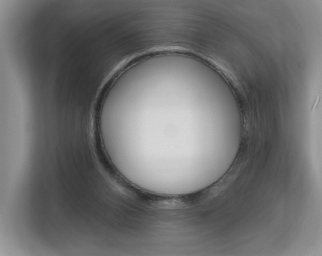 X0000113050112200908271103