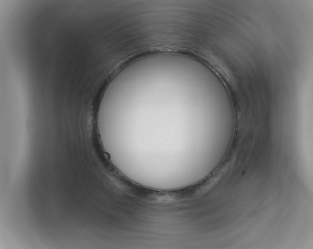 X0000113050113200908271103