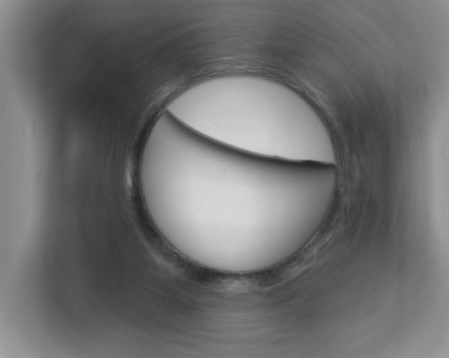 X0000113050115200908271103