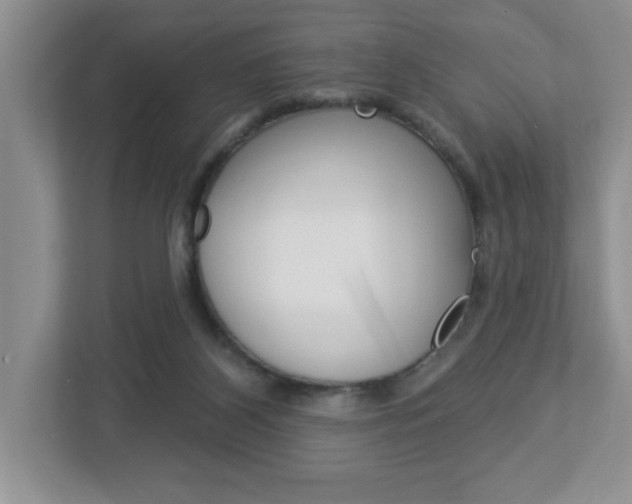 X0000113050116200908271103
