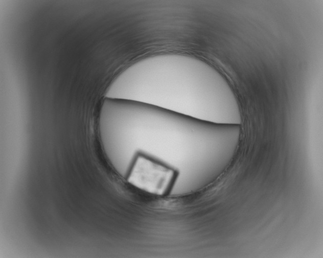 X0000113050117200908271103