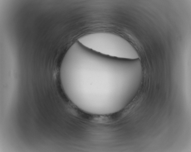 X0000113050125200908271103