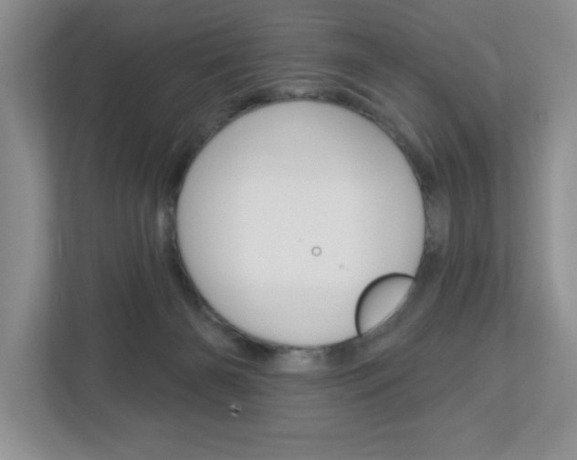 X0000113050126200908271103