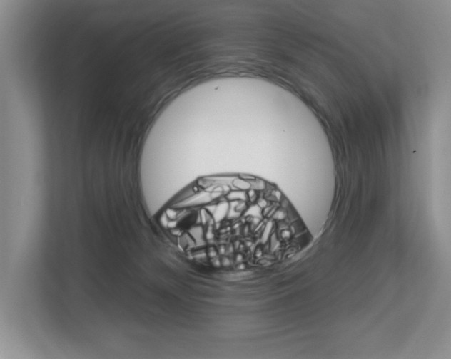 X0000113050132200908271103