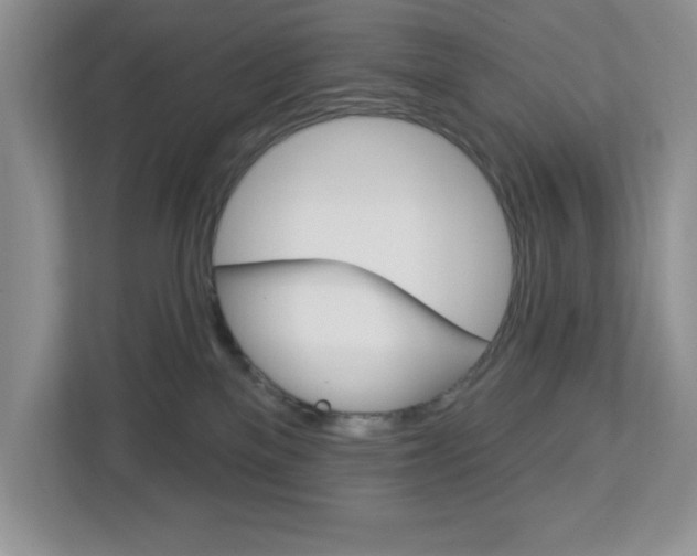 X0000113050137200908271103