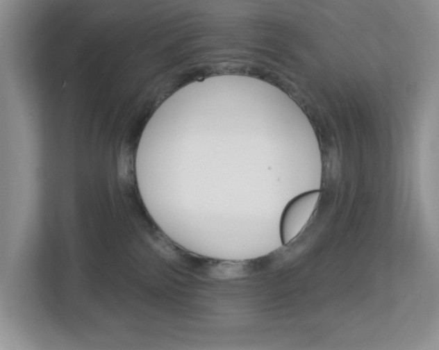 X0000113050138200908271102
