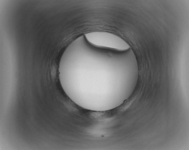 X0000113050139200908271102