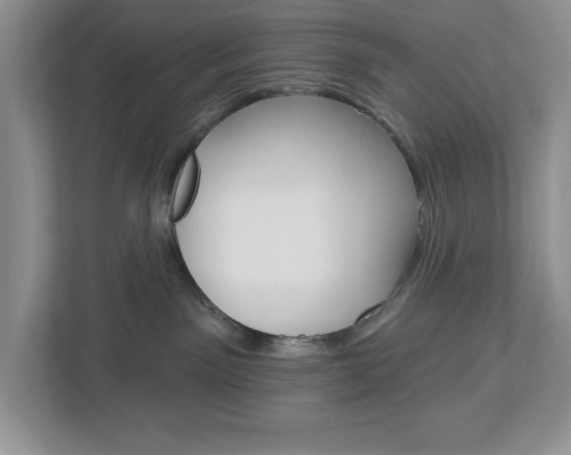 X0000113050141200908271102