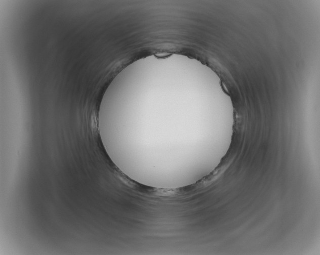 X0000113050143200908271102
