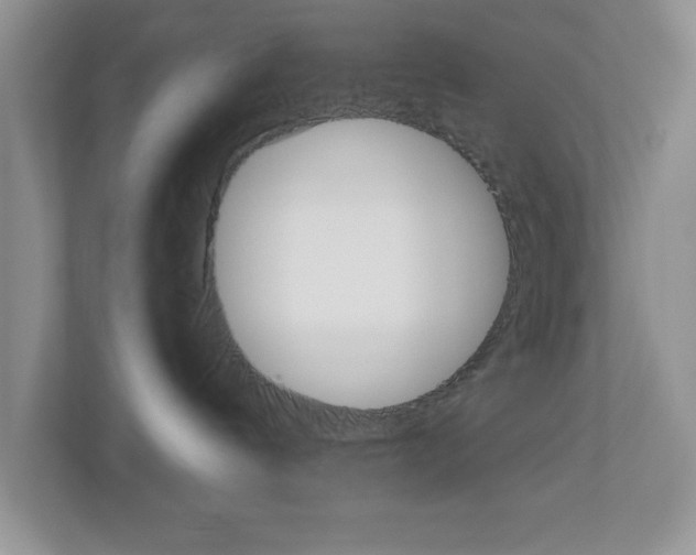 X0000113050144200908271102