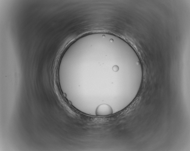 X0000113050145200908271102