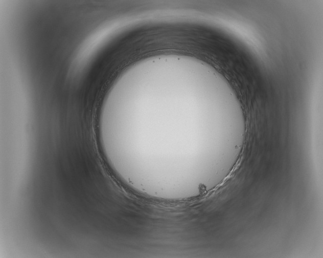 X0000113050146200908271102