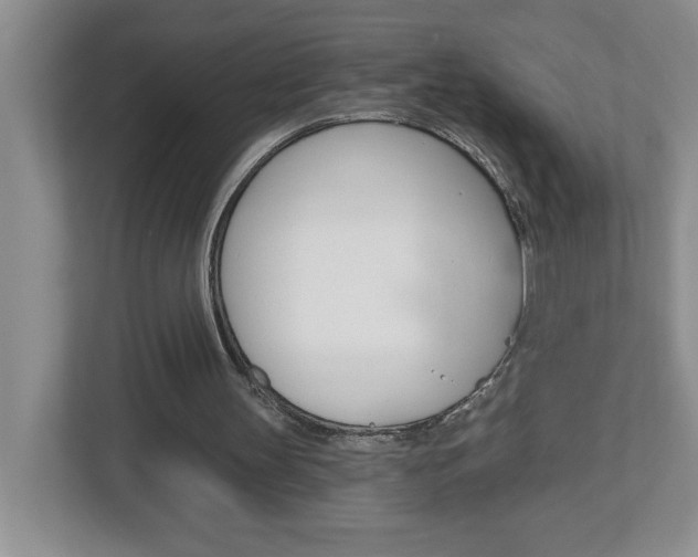 X0000113050147200908271102