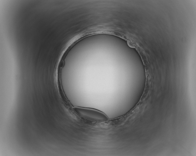 X0000113050148200908271102