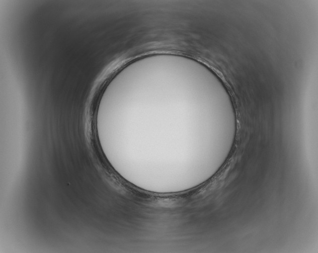 X0000113050149200908271102