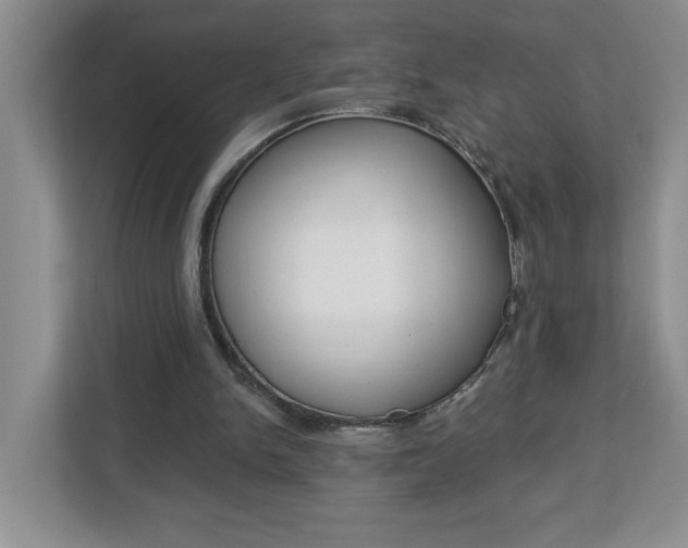 X0000113050150200908271102
