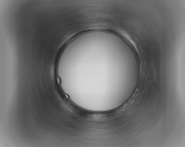 X0000113050154200908271102