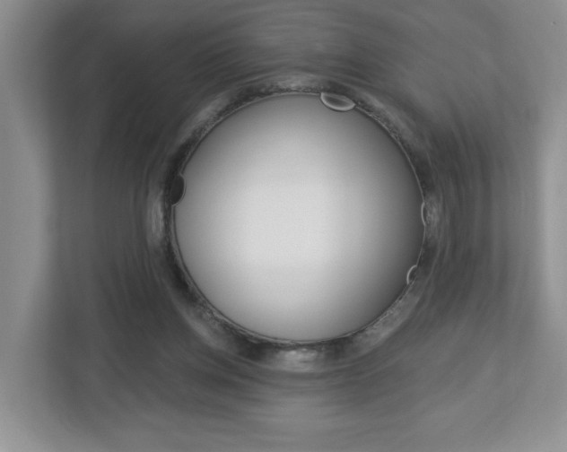 X0000113050158200908271102