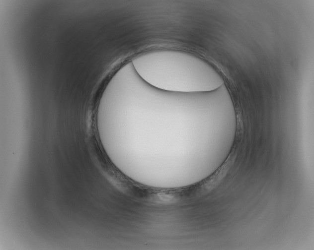 X0000113050159200908271102