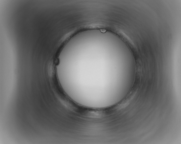 X0000113050164200908271102