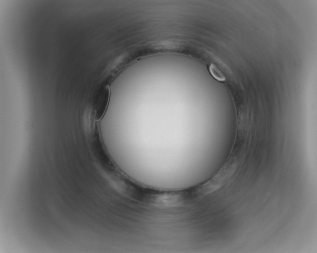 X0000113050168200908271102