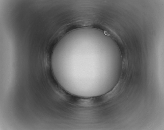 X0000113050170200908271102