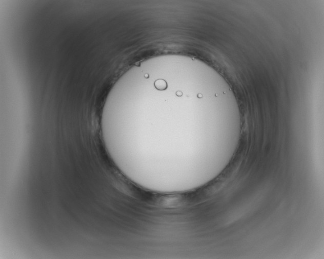 X0000113050173200908271102