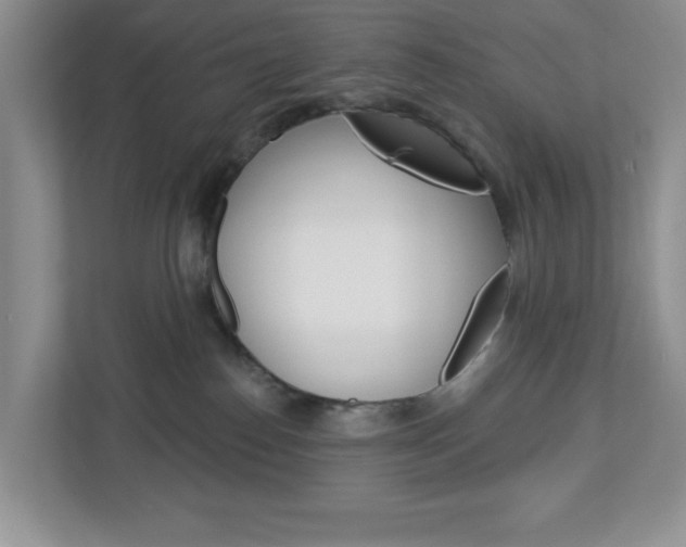 X0000113050186200908271102