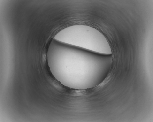 X0000113050188200908271102