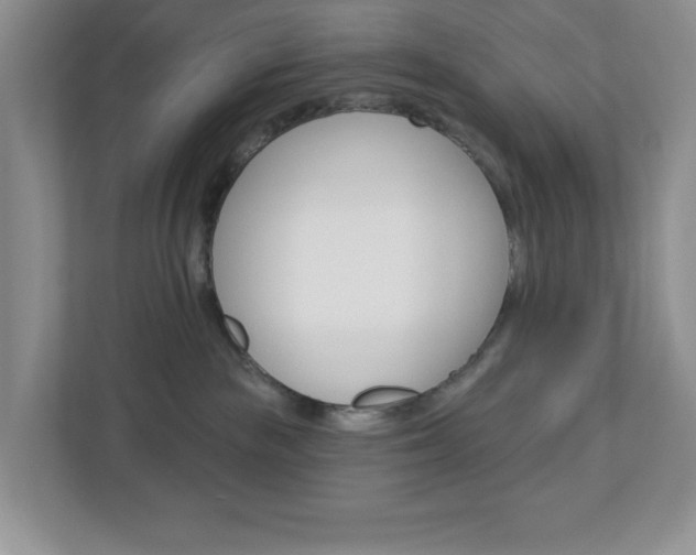 X0000113050189200908271102