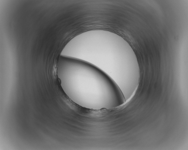 X0000113050190200908271102
