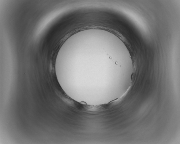 X0000113050191200908271102