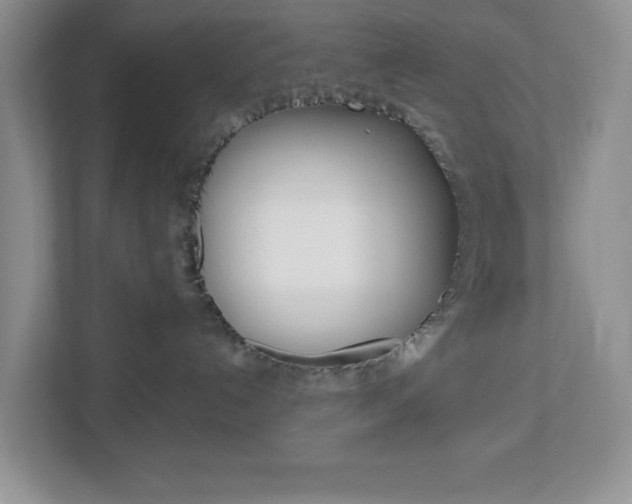 X0000113050192200908271102