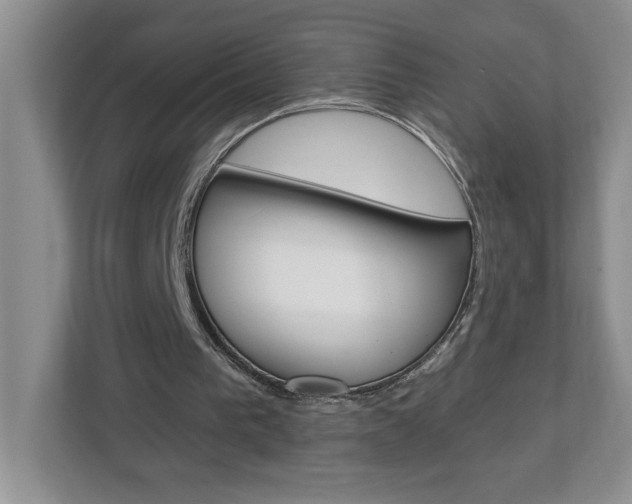 X0000113050193200908271102