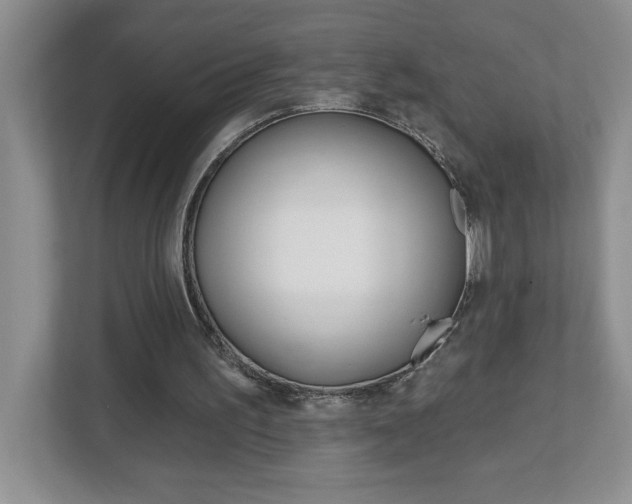 X0000113050195200908271102