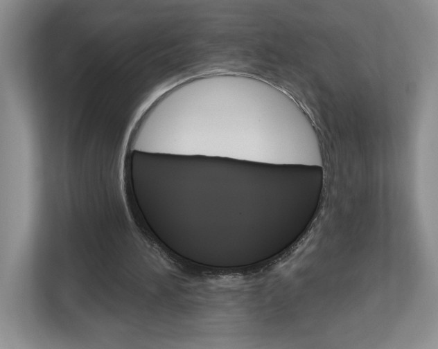 X0000113050196200908271102