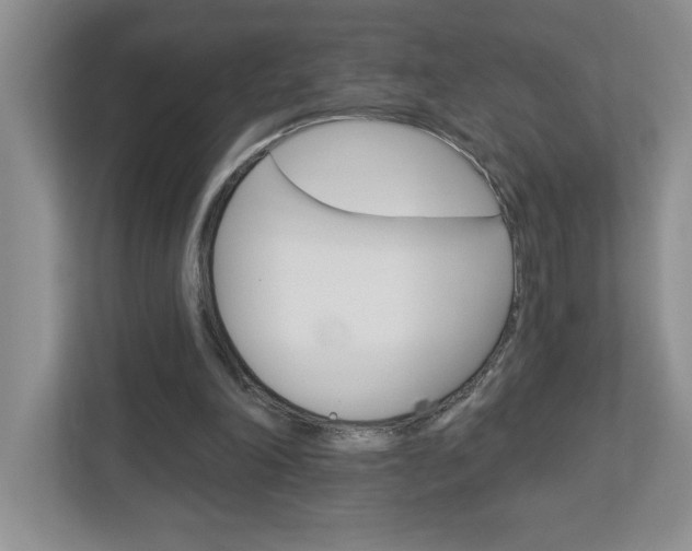 X0000113050198200908271102