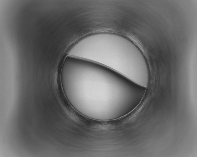X0000113050201200908271102