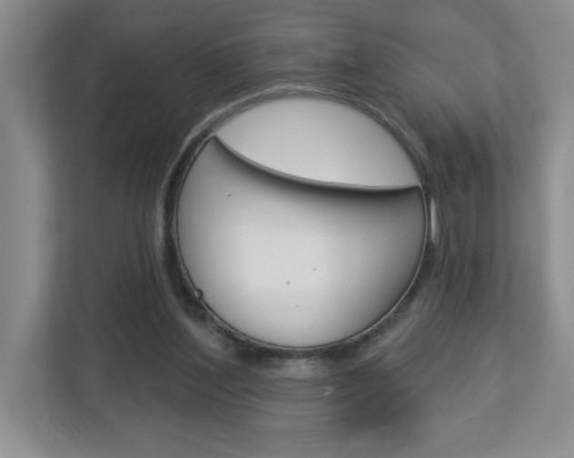 X0000113050204200908271102