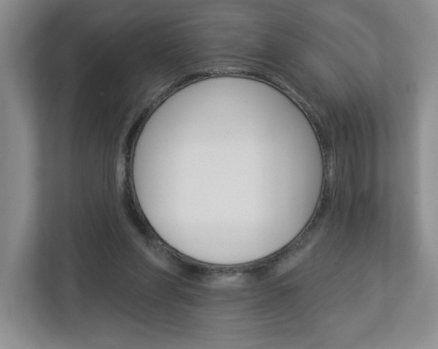 X0000113050206200908271102