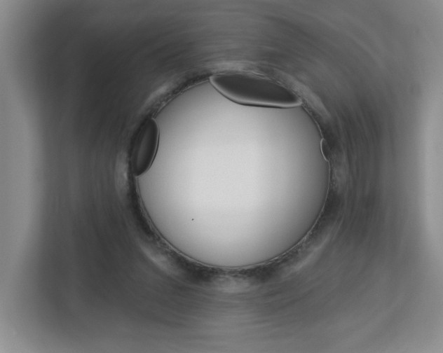X0000113050207200908271102