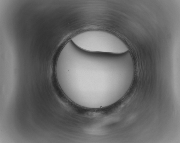 X0000113050208200908271102