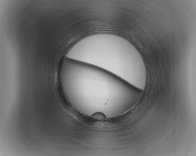 X0000113050211200908271102