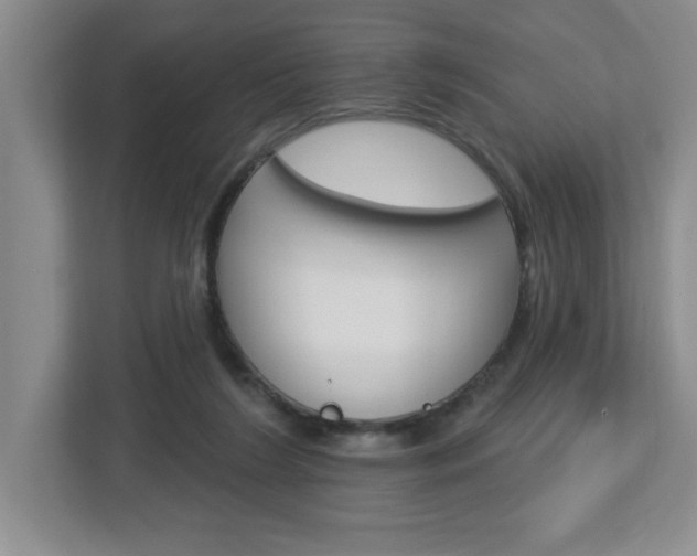 X0000113050212200908271102