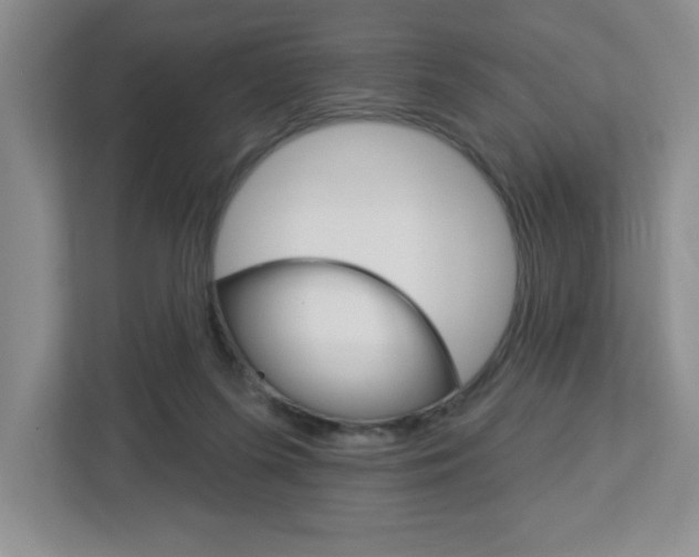 X0000113050215200908271101