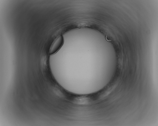 X0000113050219200908271101