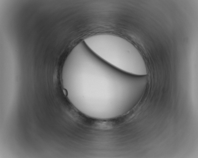 X0000113050221200908271101